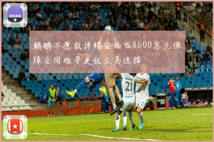 鹈鹕不愿裁掉锡安面临8600万无保障合同难寻更优交易选择