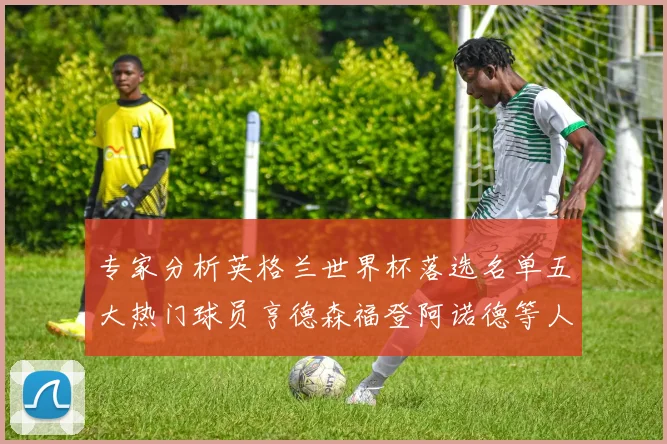 专家分析英格兰世界杯落选名单五大热门球员亨德森福登阿诺德等人引发热议