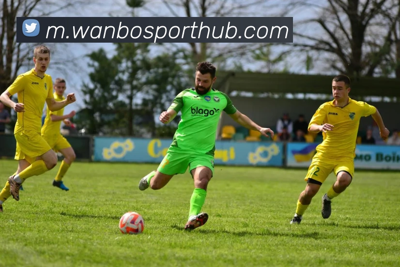 万博体育平台生态图